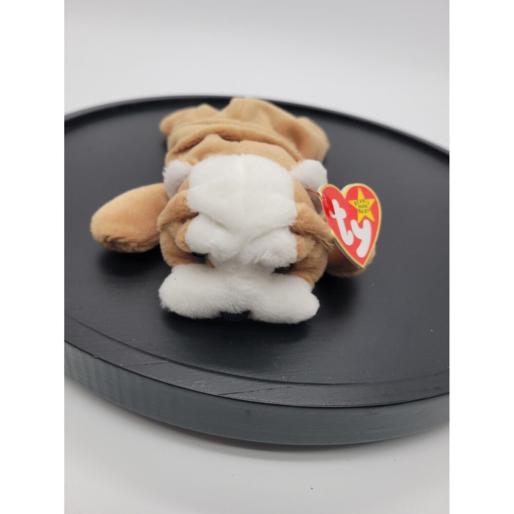 1996 Ty Beanie Baby WRINKLES the Bull Dog  8 Inch NEW  Plush Stuffed Animal Toy